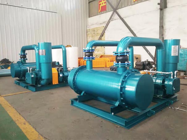 雙級串聯(lián)羅茨鼓風機(圖2)